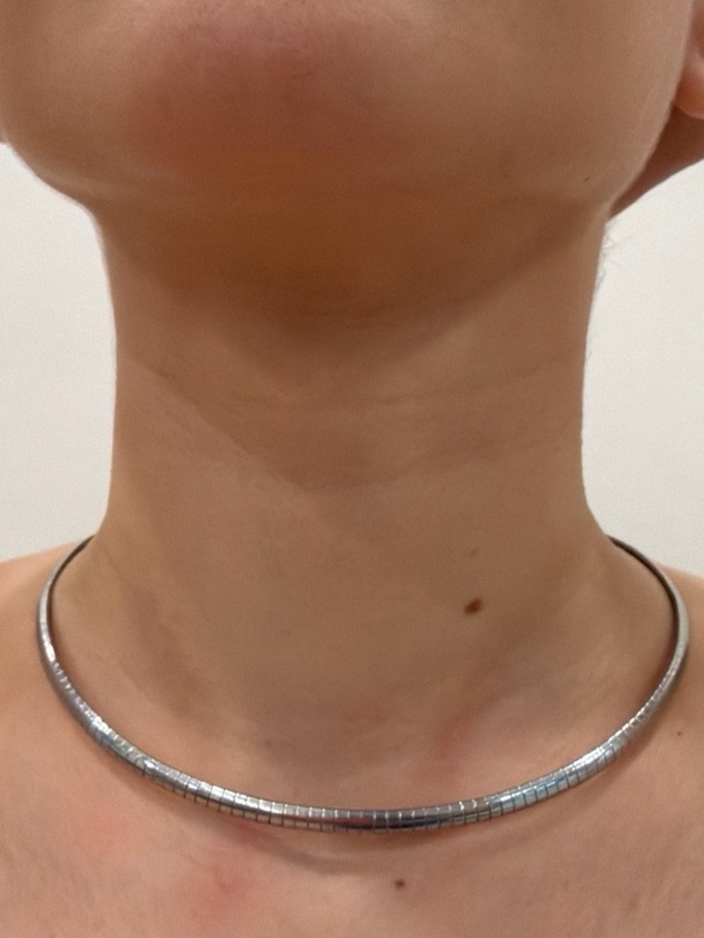 Stainless steel Silver Hinge Tube Choker Necklace - Minimal Women's Jewelry